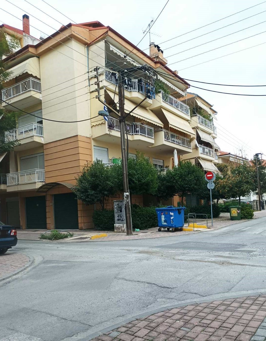 photo1