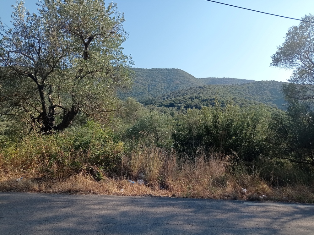 photo0