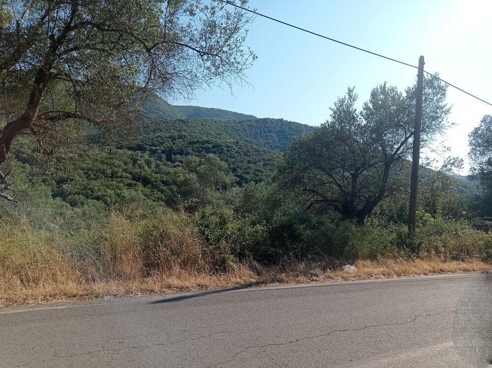 photo1