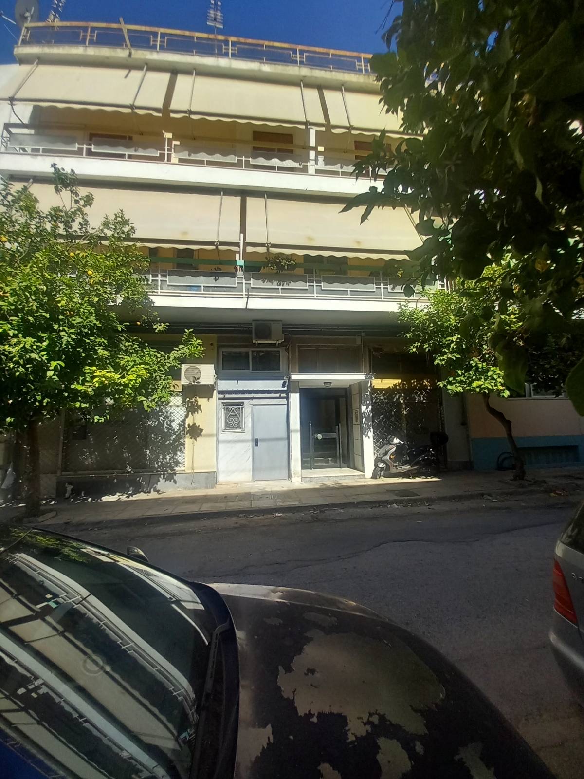 photo1