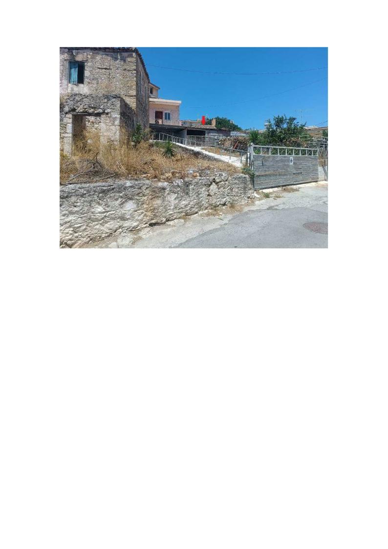 photo1