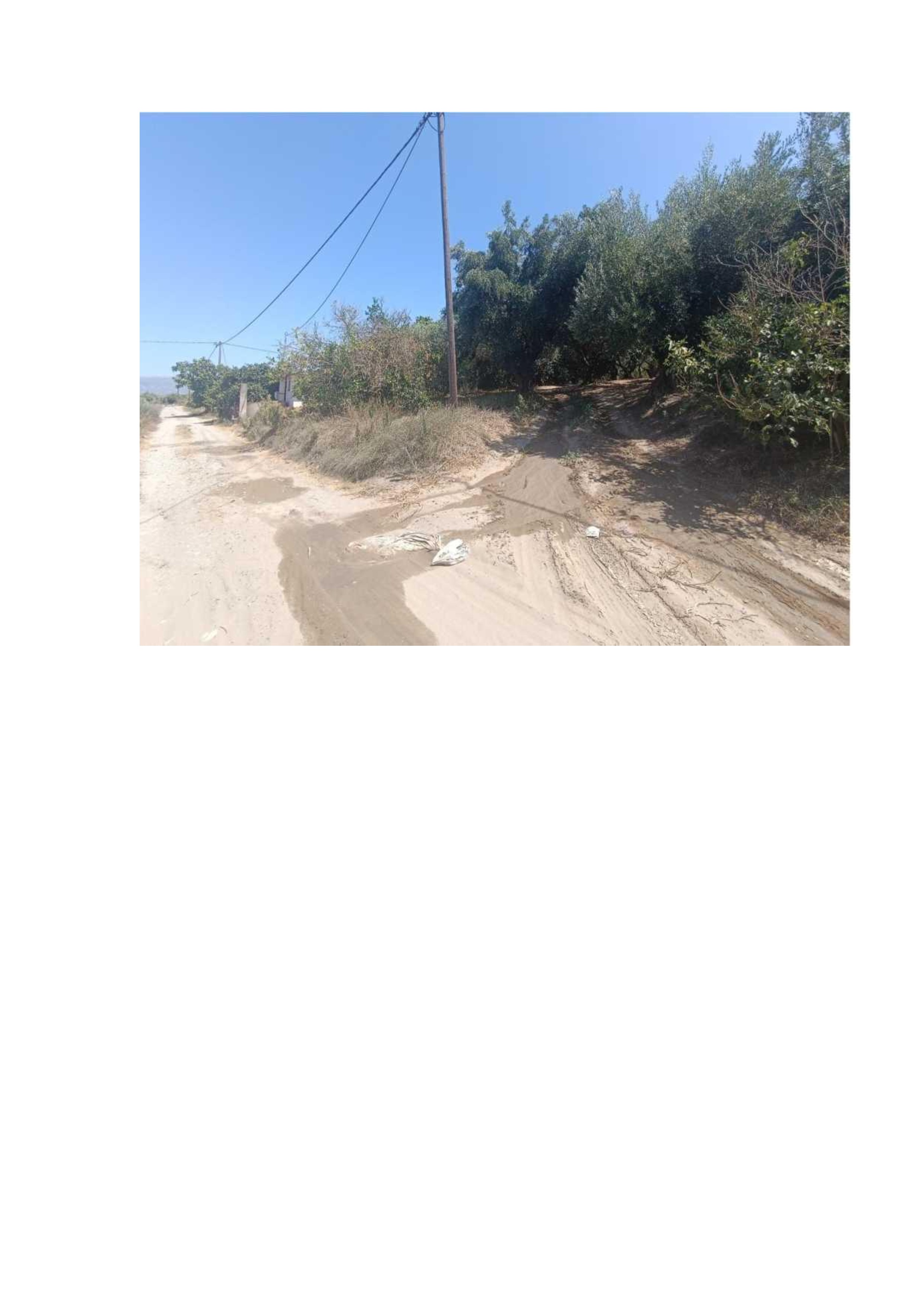 photo11