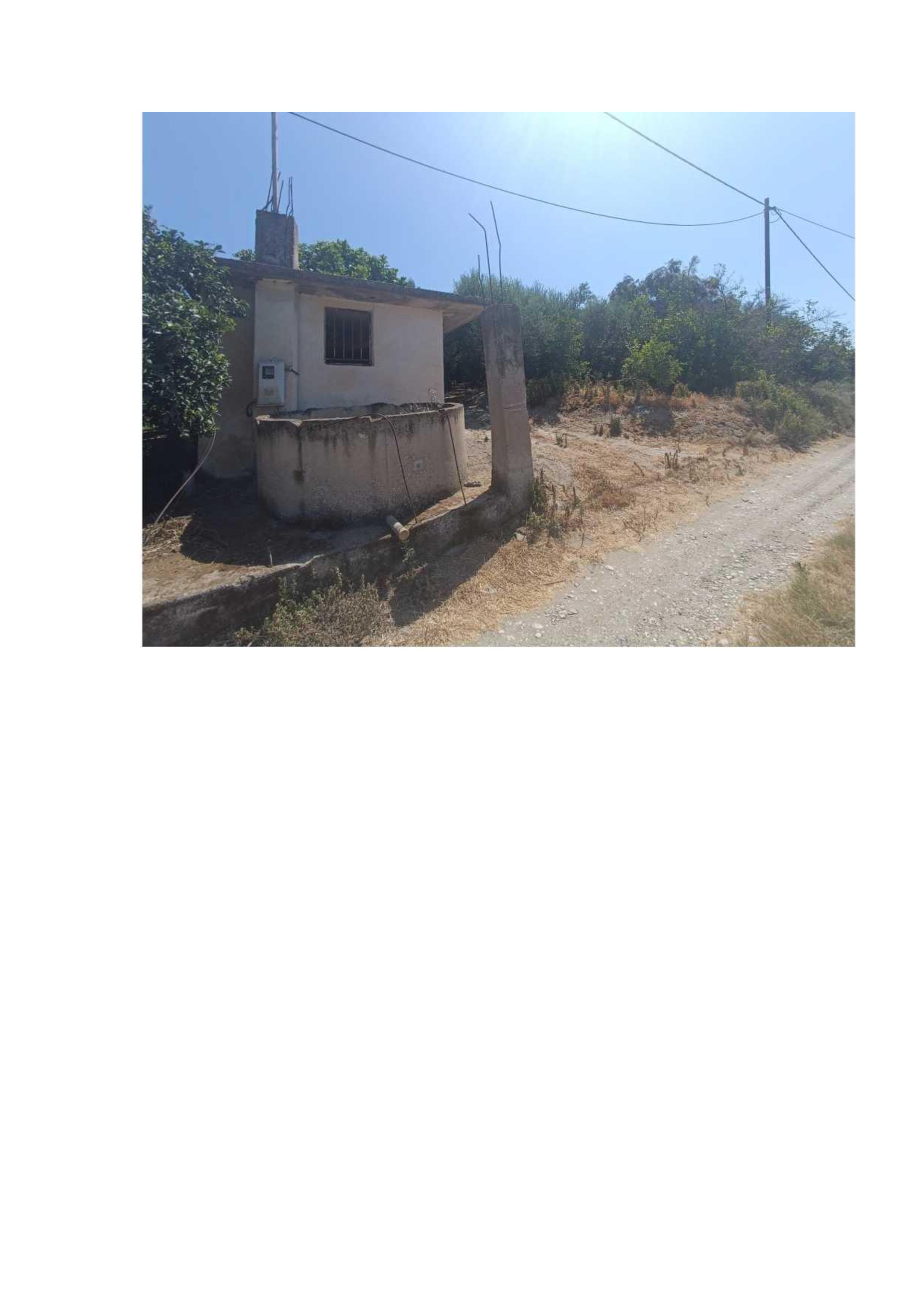 photo12