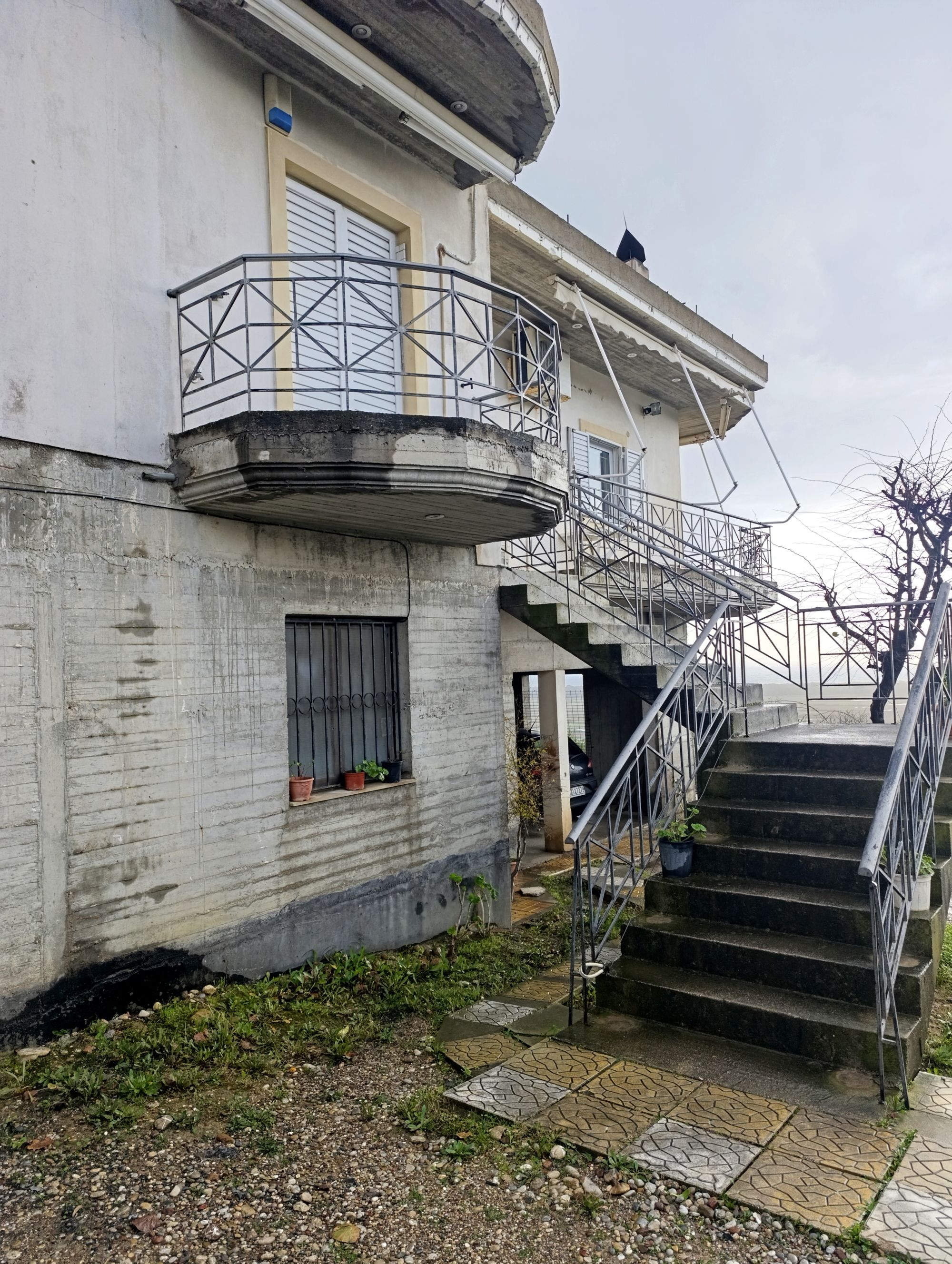 photo0