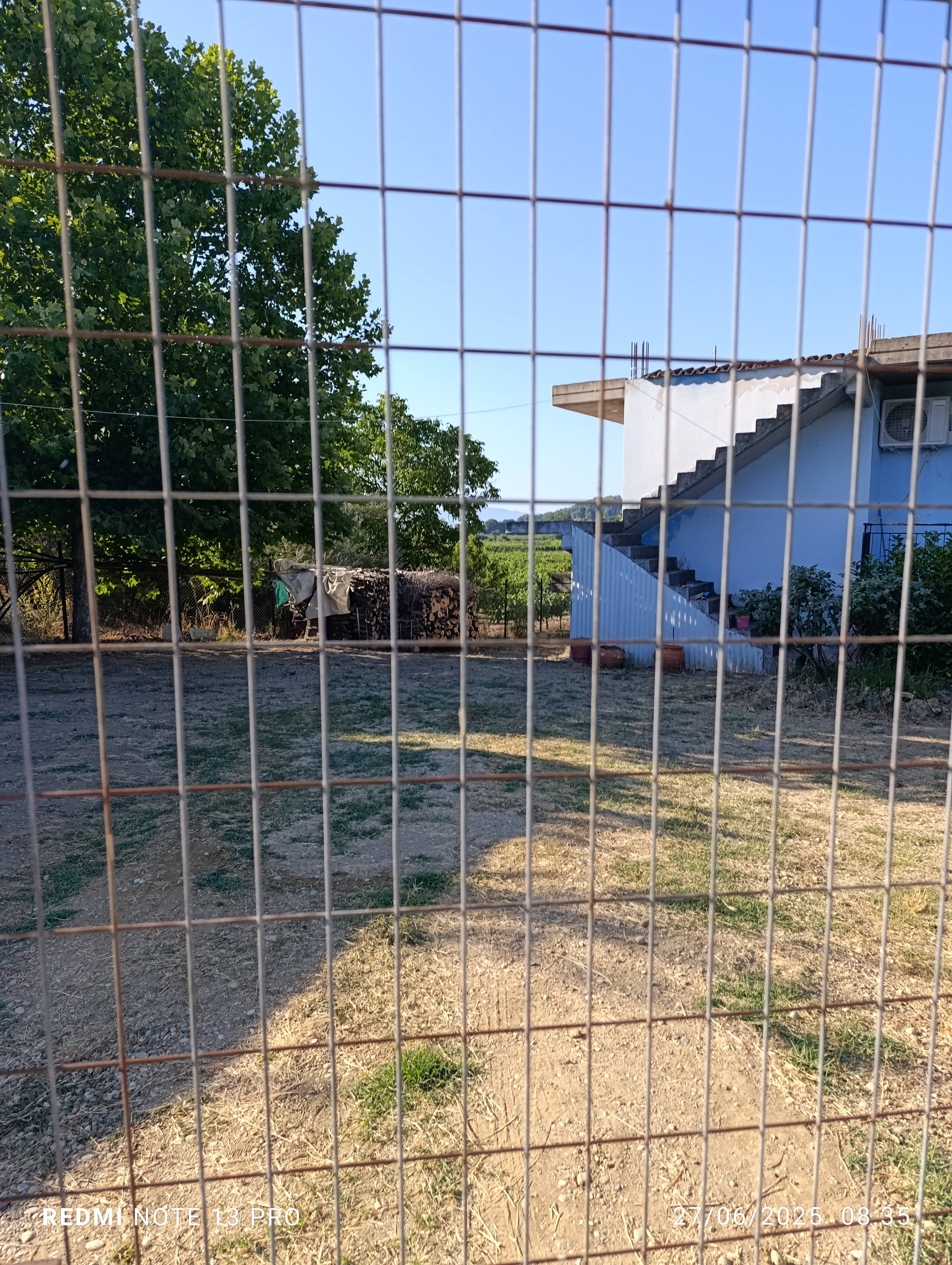photo1
