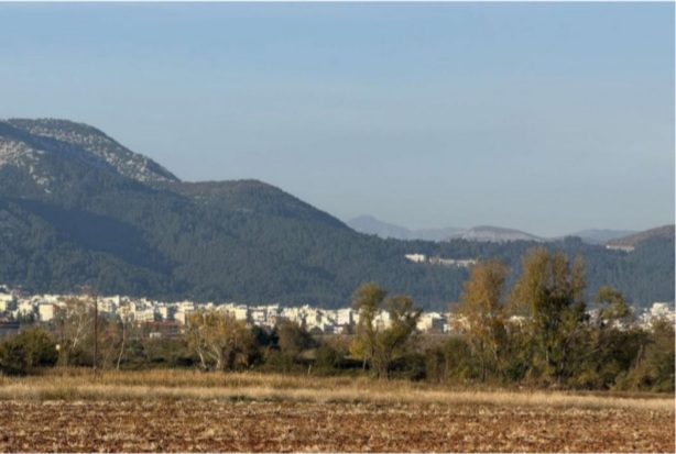Οικόπεδο με κτίσμα 120 τ.μ. σε πλειστηριασμό Δήμος Μύκης 