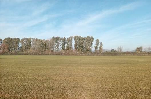 photo3