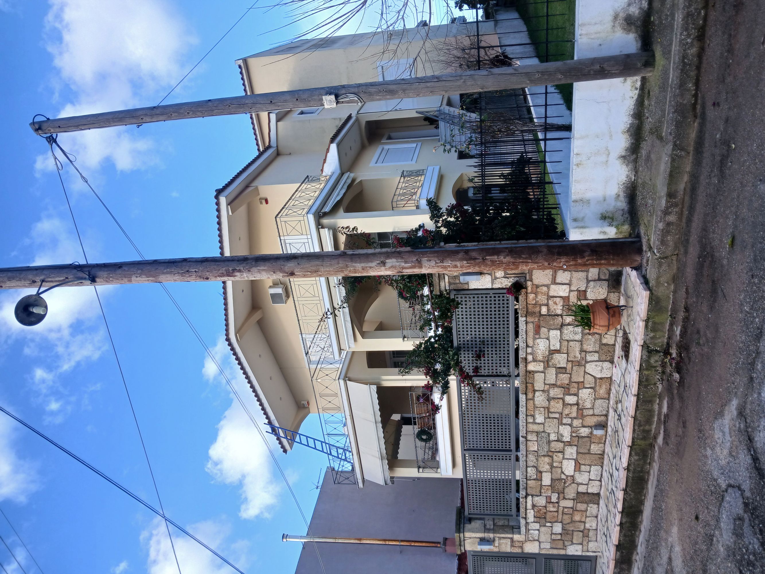 photo1