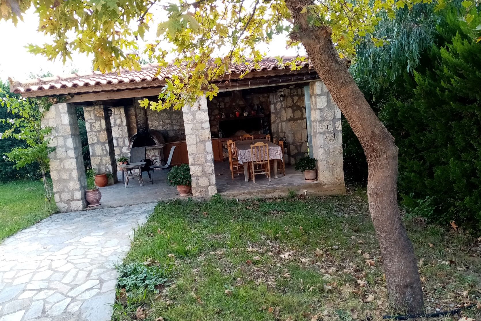 photo1