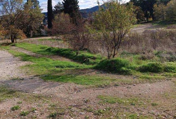 Οικόπεδο  σε πλειστηριασμό Δήμος Καστοριάς