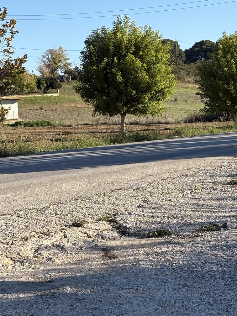 Αγροτεμάχιο  σε πλειστηριασμό Δήμος Πρέβεζας