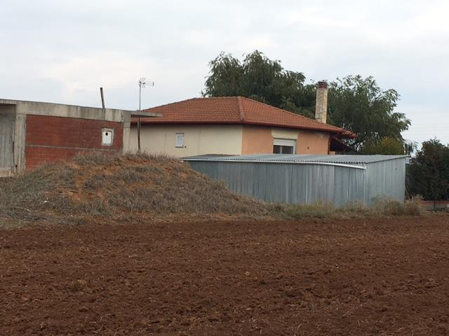 photo1