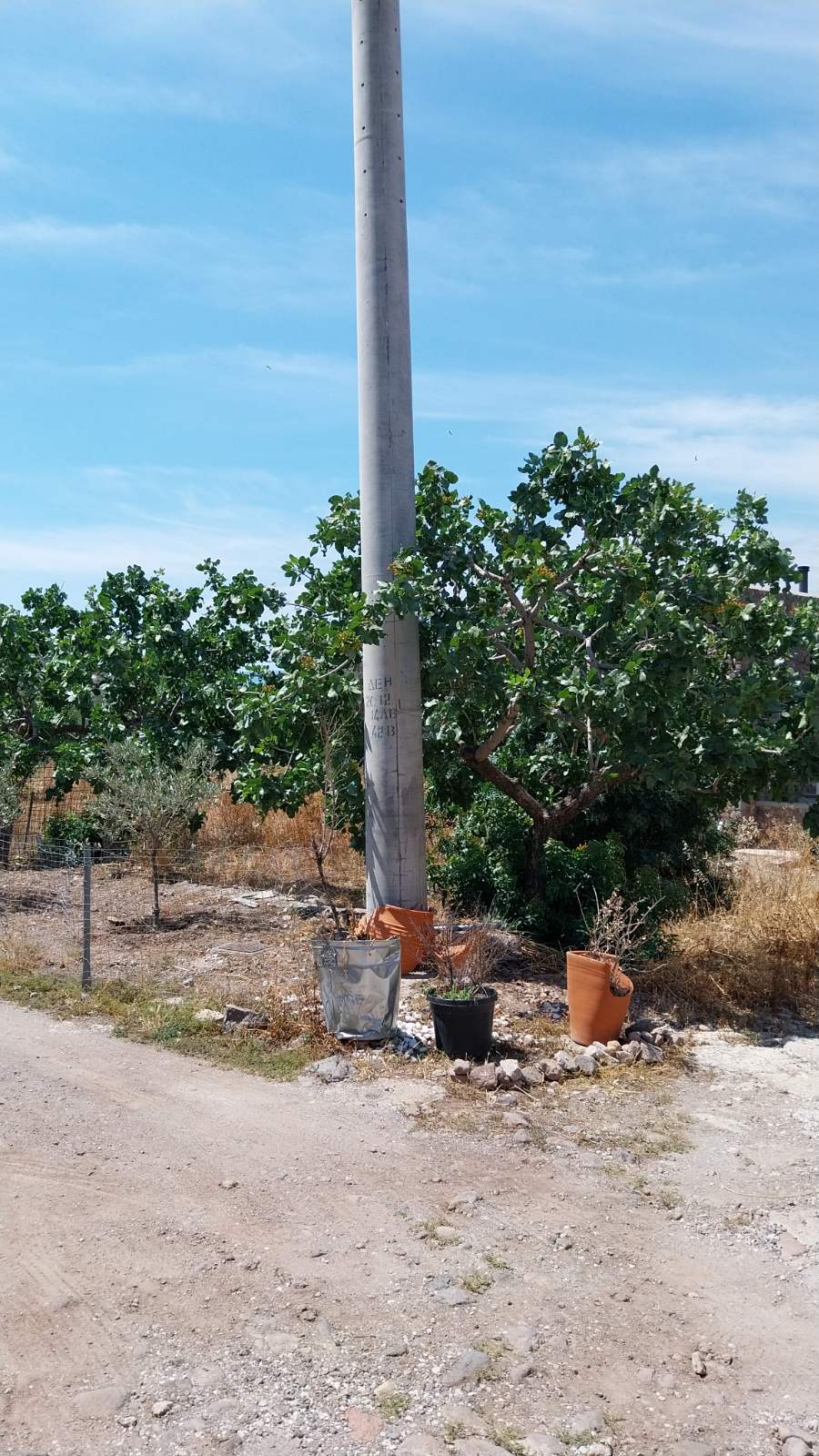Οικόπεδο  σε πλειστηριασμό Δήμος Αίγινας