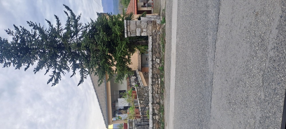 photo1