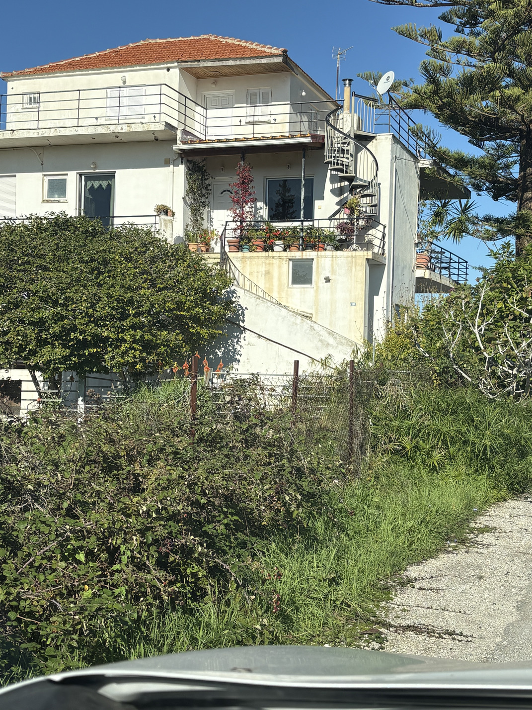 photo1