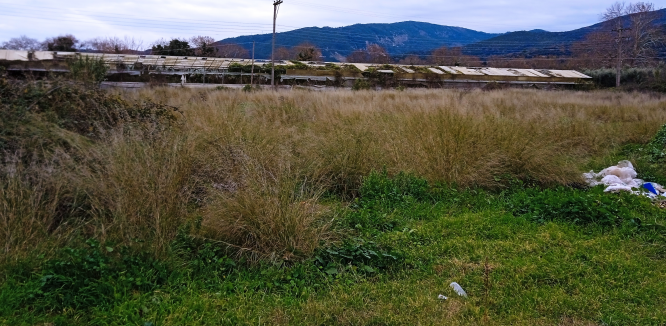 photo7