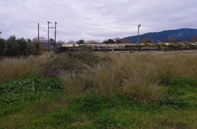 photo1