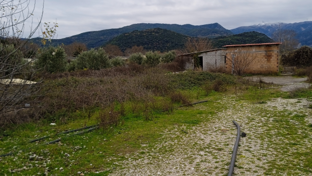 Αγροτεμάχιο  σε πλειστηριασμό Δήμος Αγρινίου