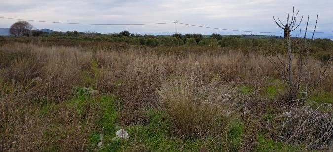 photo4
