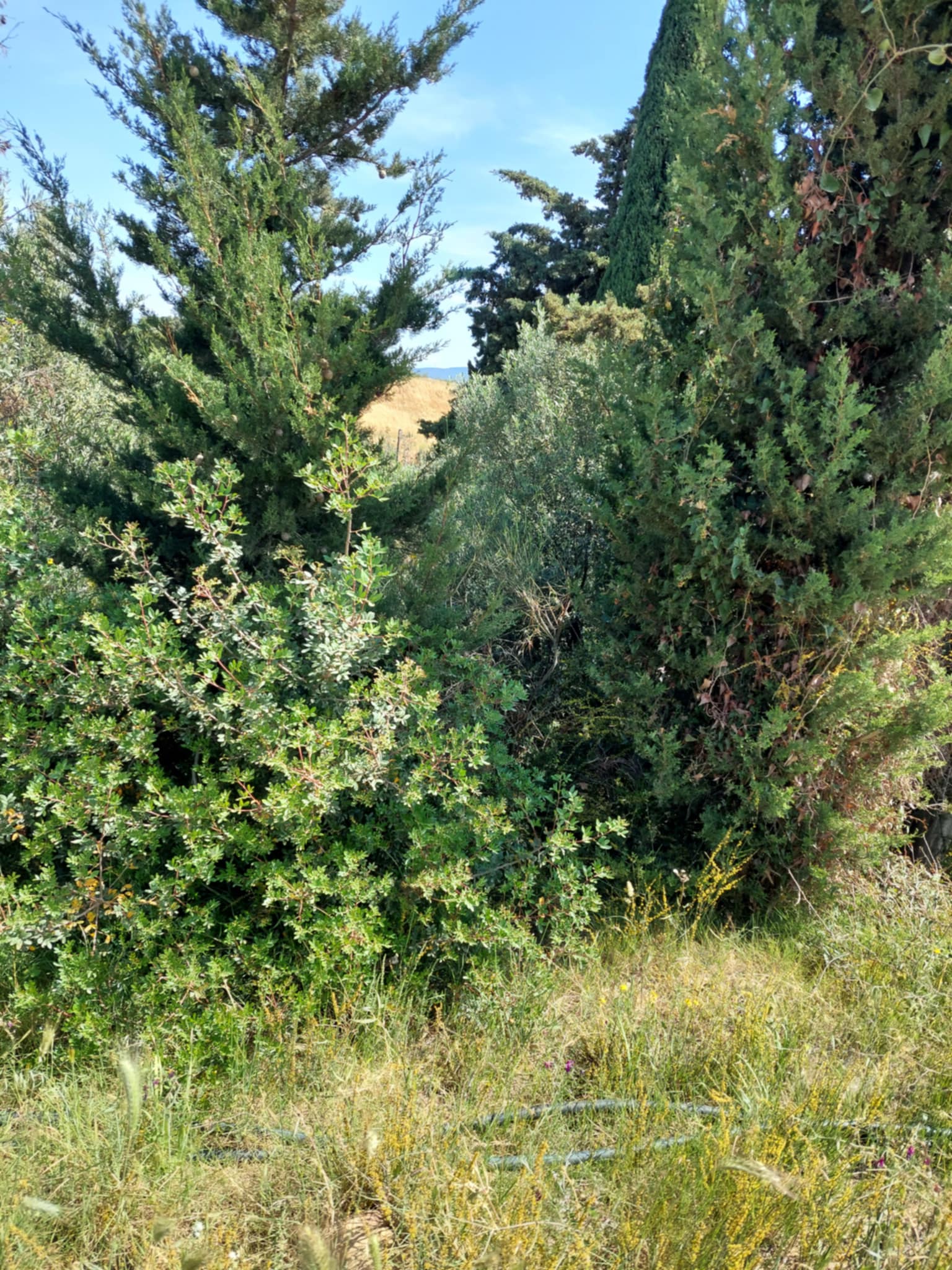 photo1