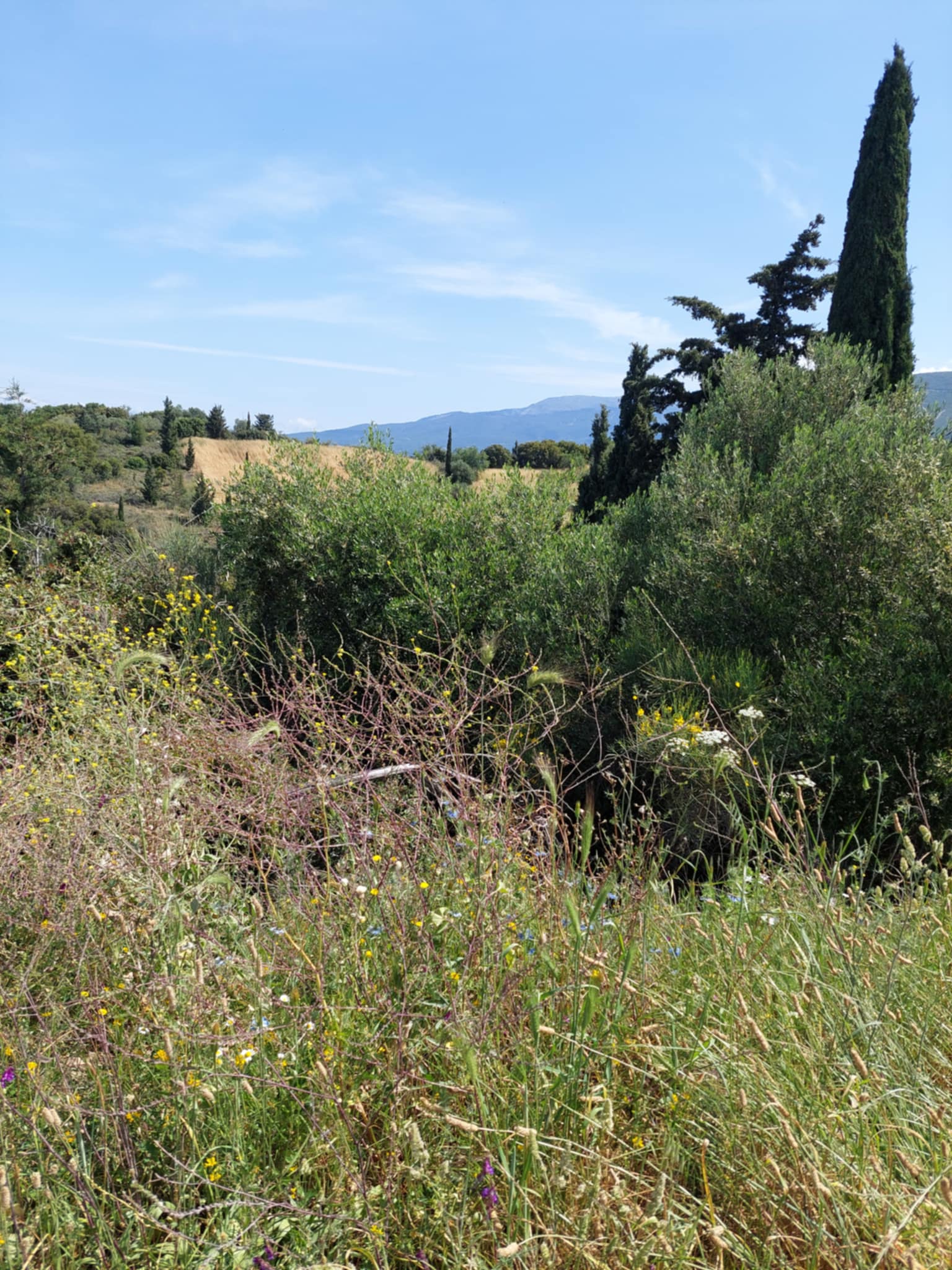 photo2