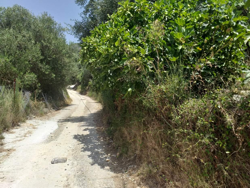 Οικόπεδο 56.38 τ.μ. σε πλειστηριασμό Δήμος Πάργας