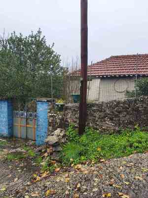 photo2