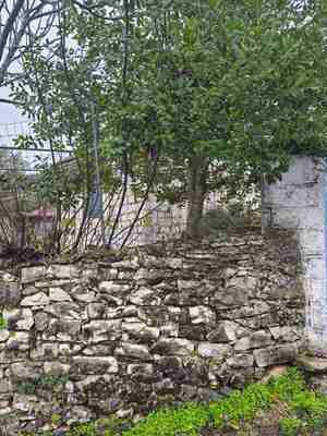 Οικόπεδο με κτίσμα  σε πλειστηριασμό Δήμος Ζίτσας
