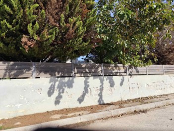 photo1