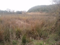 photo0