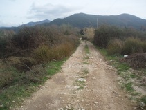 photo1