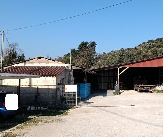 photo0