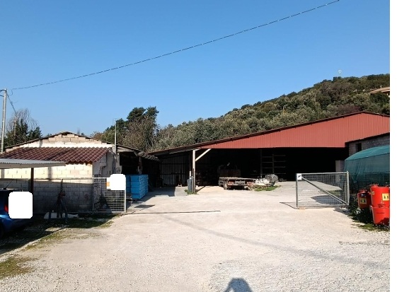 photo1