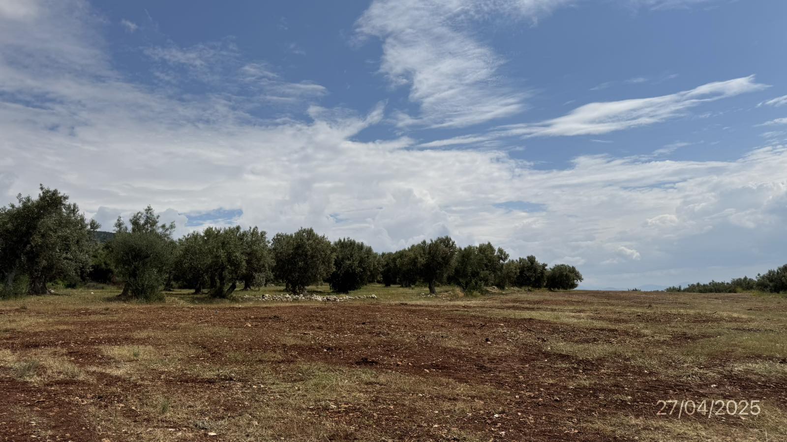Αγροτεμάχιο  σε πλειστηριασμό Δήμος Βόρειας Κυνουρίας