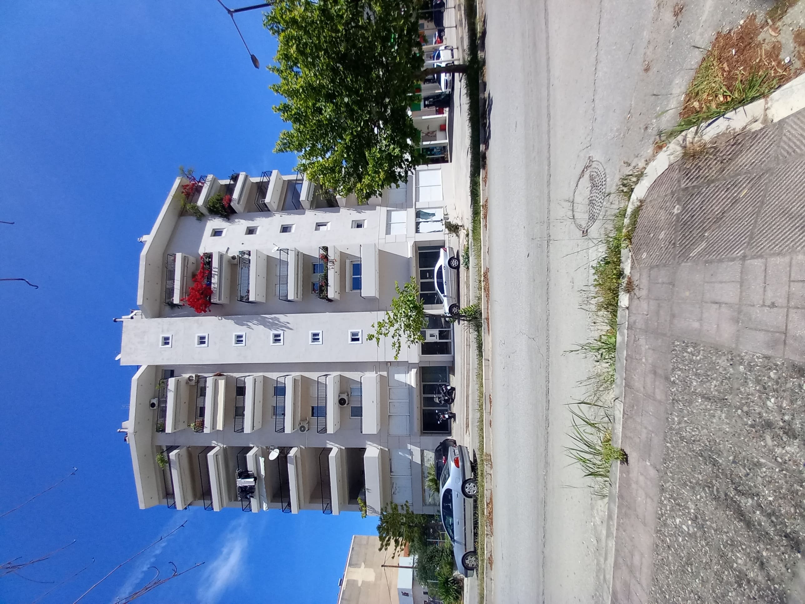 photo2
