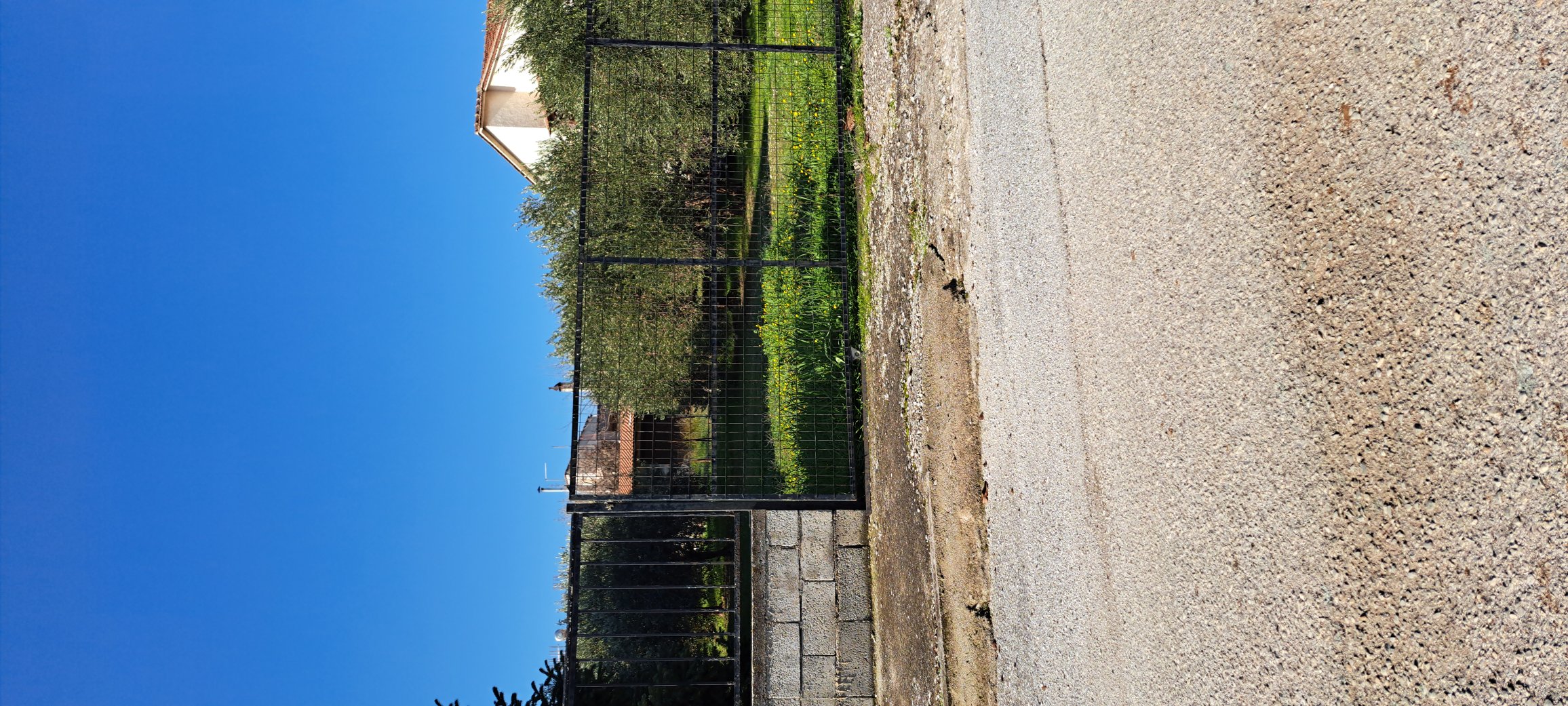 photo0