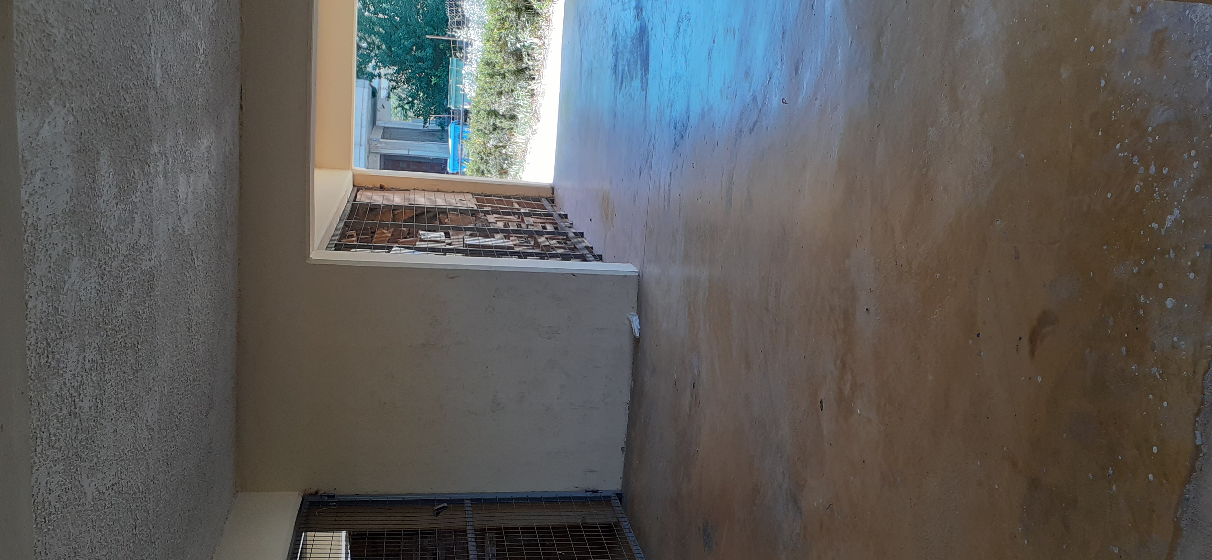 photo1