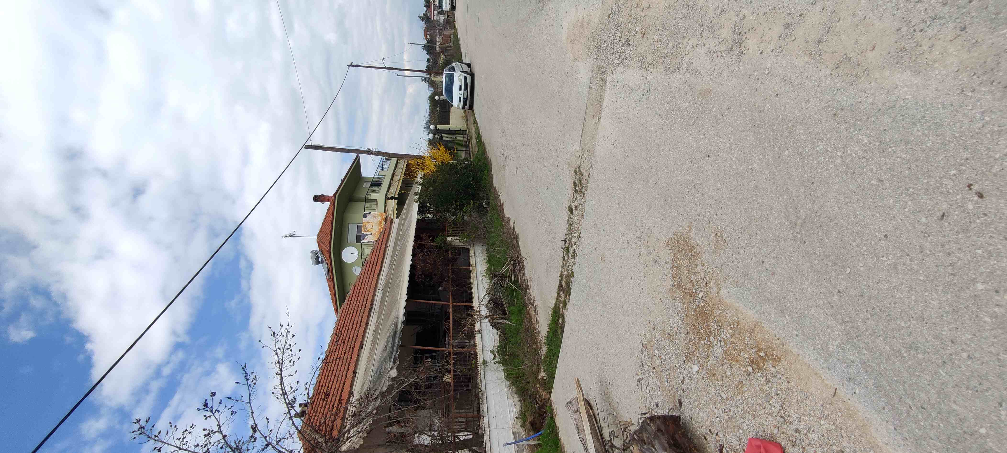 photo1