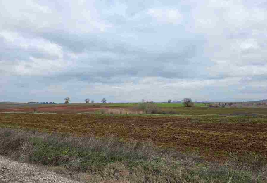 photo1