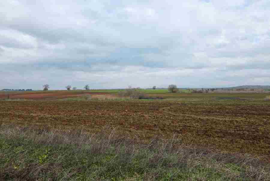 photo2