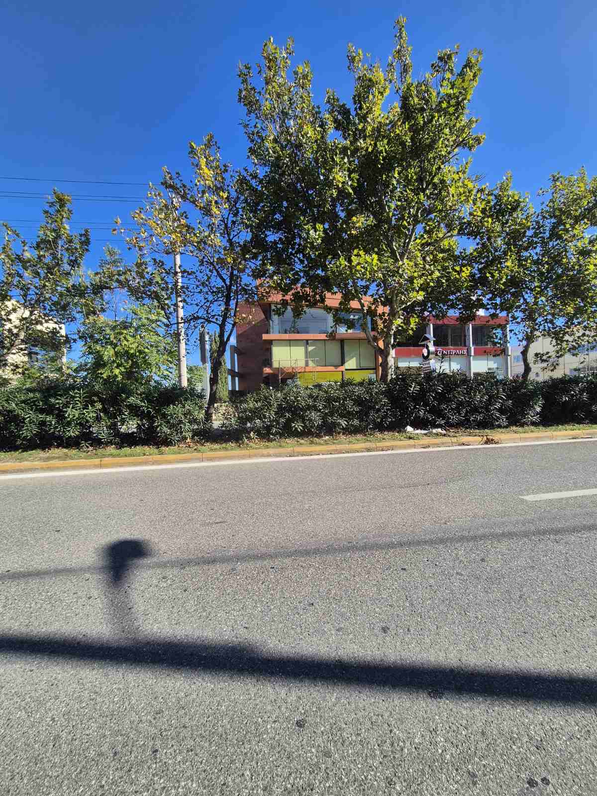 photo3