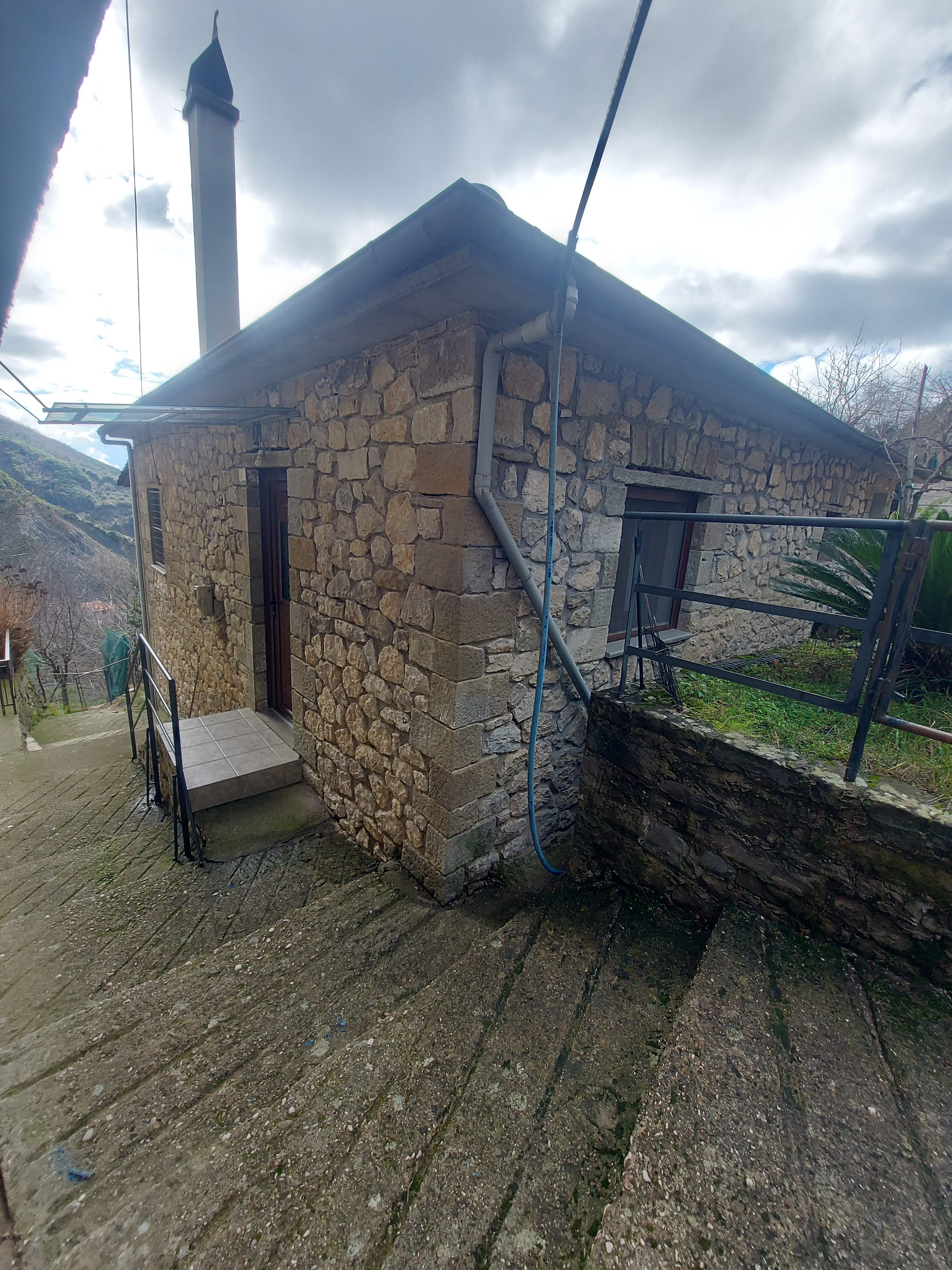 photo1