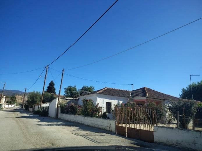 photo1