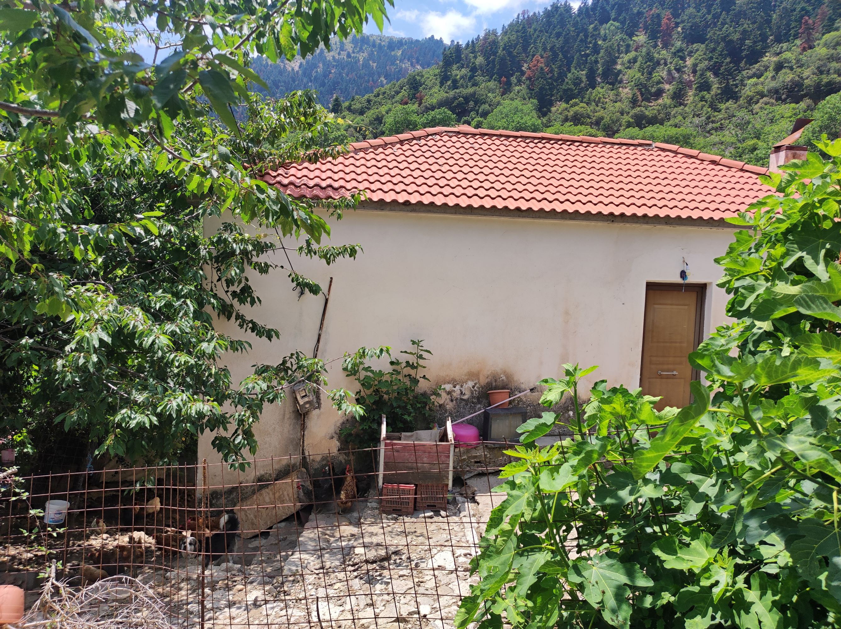 Οικόπεδο με κτίσμα  σε πλειστηριασμό Δήμος Αρχαίας Ολυμπίας