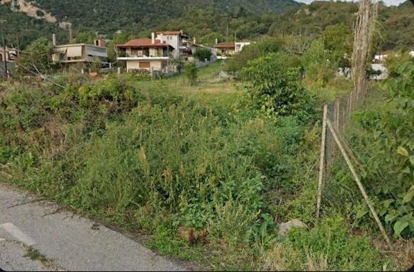 Οικόπεδο  σε πλειστηριασμό Δήμος Καμένων Βούρλων