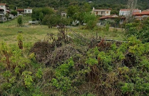 photo2