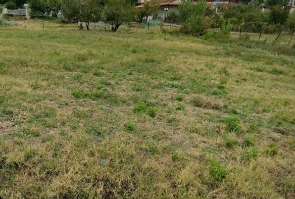 photo3