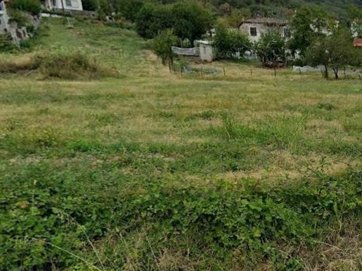 photo5
