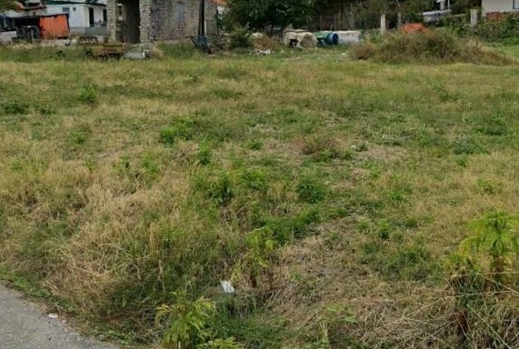 photo7