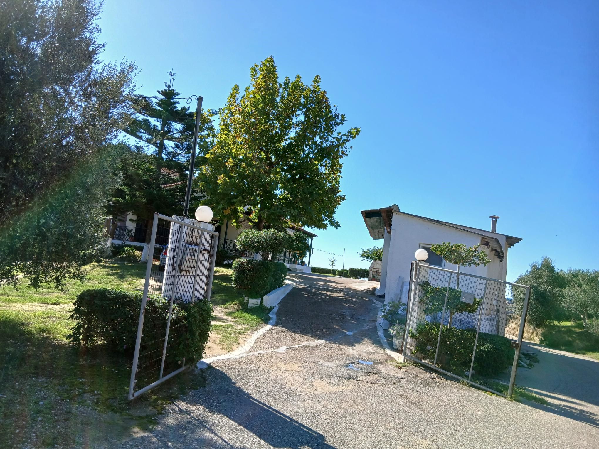 photo2